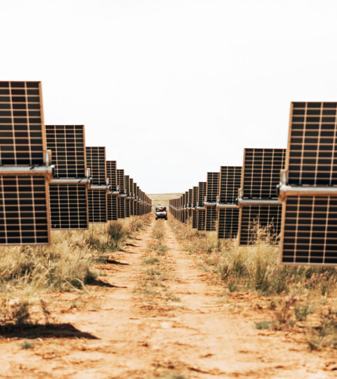 Appaloosa Solar