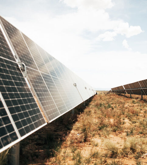 Appaloosa Solar