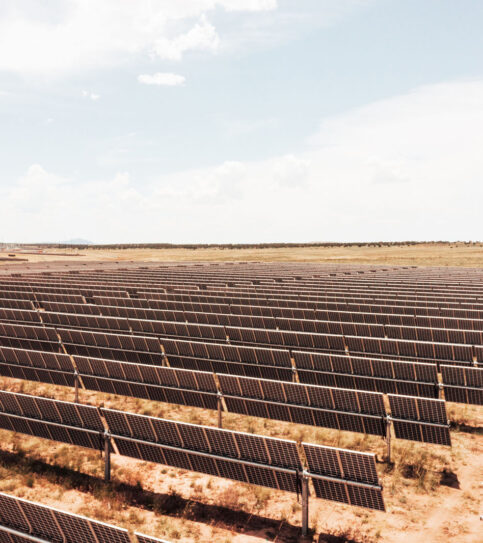 Appaloosa Solar