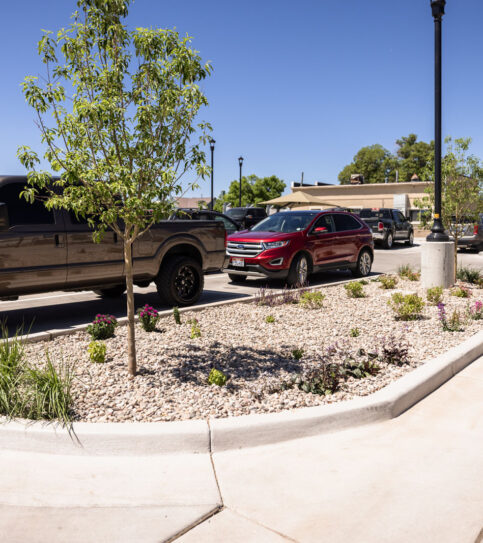 Zions Block Improvements